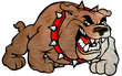 Bulldog